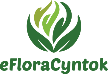 eFloraCyntok